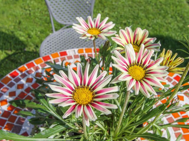 Ferienwohnung Maria Alm