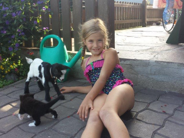 Hatzbauer - Urlaub am BIO-Bauernhof